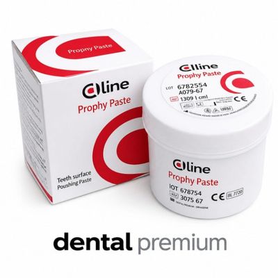DLINE PROPHY PASTE — Ciments